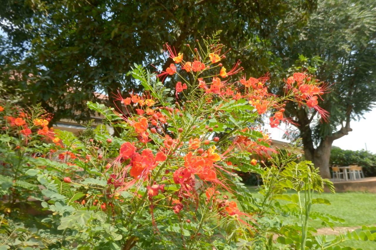 Dutchess Hotel And Restaurant Fort Portal ภายนอก รูปภาพ